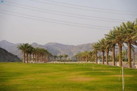 بوابة السعودية: كل ما تحتاج معرفته عن هذه الموسوعة العالمية