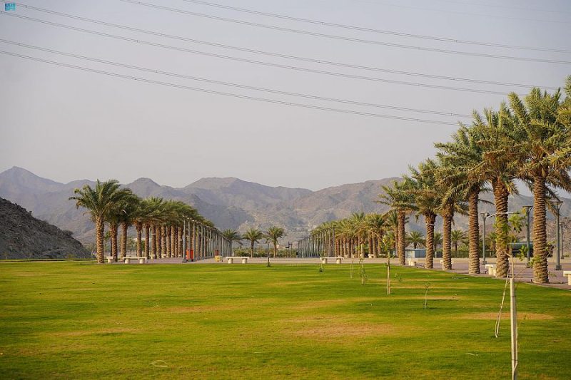 بوابة السعودية: كل ما تحتاج معرفته عن هذه الموسوعة العالمية