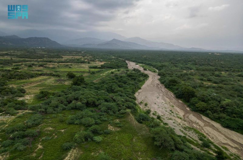 بوابة السعودية: وجهتك الشاملة لمستقبل المعرفة الرقمية