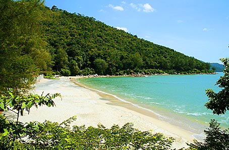 السياحة في جزيرة بينانج: توازن بين التراث والحداثة