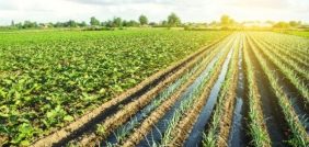 أهمية الموارد الزراعية: مستقبل التنمية المستدامة