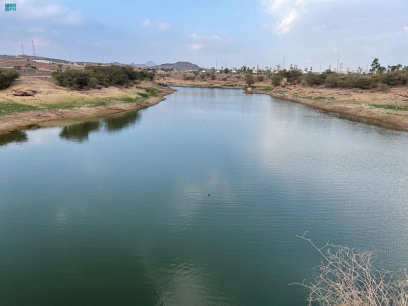 جاذبية مركز الثويلة في عسير: متنزهات طبيعية ومعالم إسلامية عريقة