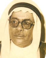 تحليل: كيف أسهم أحمد صالح قنديل في تطوير الأدب؟