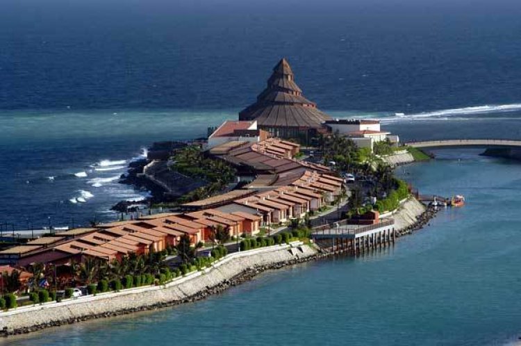 لماذا يجب عليك زيارة جزيرة النورس في ينبع؟