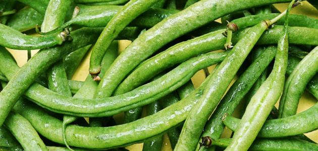 كل ما يهمك حول زراعة فول الصويا
