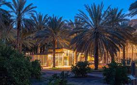 واحة ديمومة في العلا: ملاذ صيفي بين التراث والطبيعة