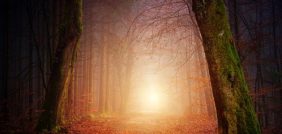 تفسير الأحلام: نافذة على المستقبل أم انعكاس للواقع؟