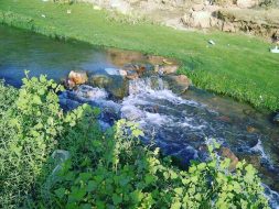 الموسوعة العالمية: إلى أين تتجه في المستقبل؟