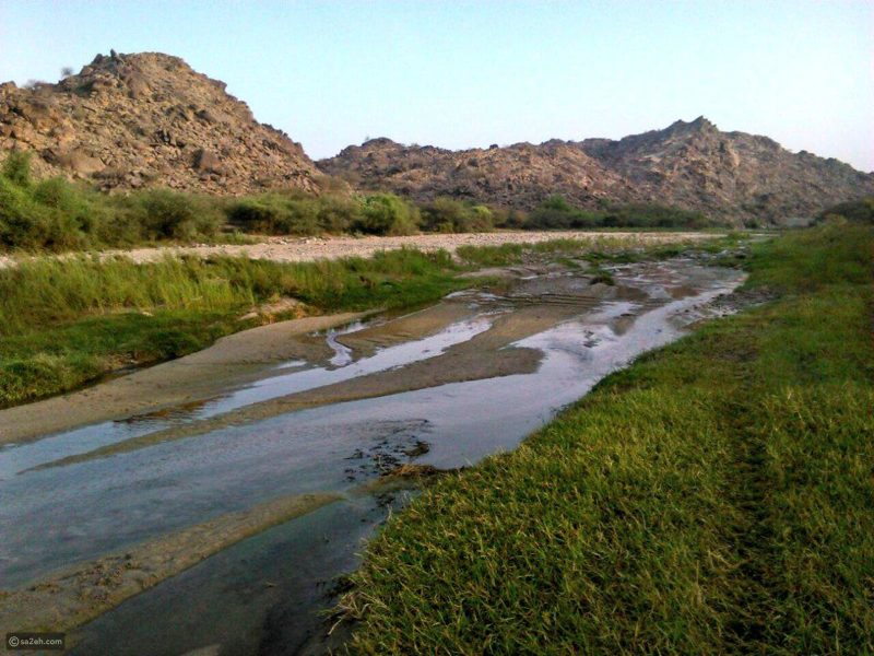 وادي لومة: جوهرة طبيعية ومنتجع مفتوح على مدار العام