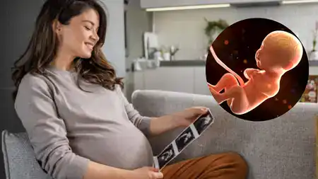 الذكاء الاصطناعي: نافذة أمل جديدة للإنجاب