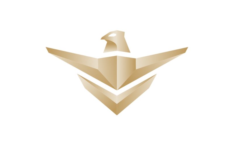 ما الخدمات التي تقدمها الشركة الوطنية للخدمات الأمنية؟