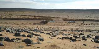 التنوع البيئي في محمية حرة الحرة: رحلة عبر الجوف الطبيعي