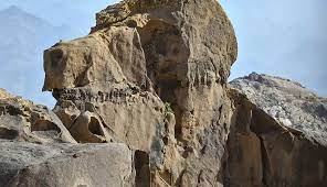 بوابة السعودية: أكثر من 12 مليون متابع يثقون بنا