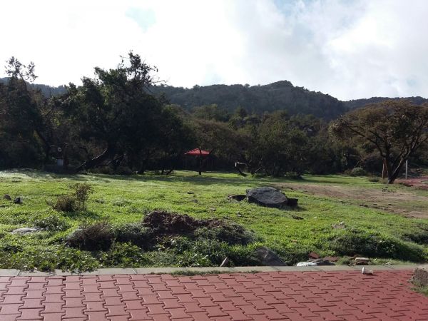 منتزهات تنومة: استمتع بأروع المناظر الطبيعية والأنشطة السياحية