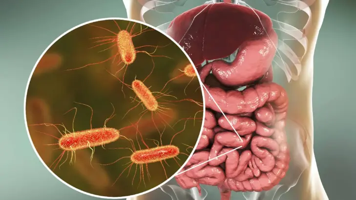تأثير المضادات الحيوية: نصائح للحفاظ على توازن البكتيريا المعوية