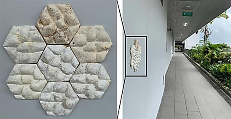 الطوب الفطري: هل يغير قواعد اللعبة في البناء المستدام؟