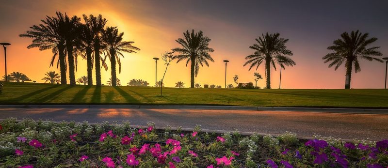 حدائق الدمام: ملاذ العائلات ومحبي الرياضة والهدوء