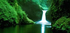 غابات الأمازون: مستقبل البيئة في خطر