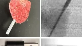 كاشف KAUST المرن: نقلة نوعية في عالم الفحوصات الطبية