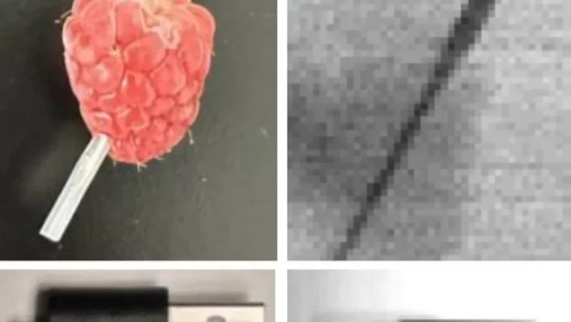 كاشف KAUST المرن: نقلة نوعية في عالم الفحوصات الطبية