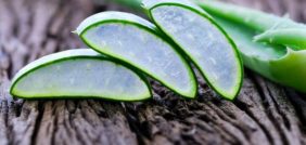 الصبار: فوائد واستخدامات تجعله ضروريًا في روتينك اليومي