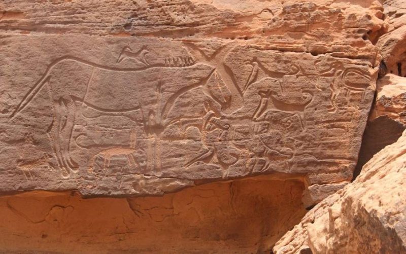 السياحة في حائل: اكتشاف أثري يضيف بعدًا تاريخيًا وثقافيًا جديدًا