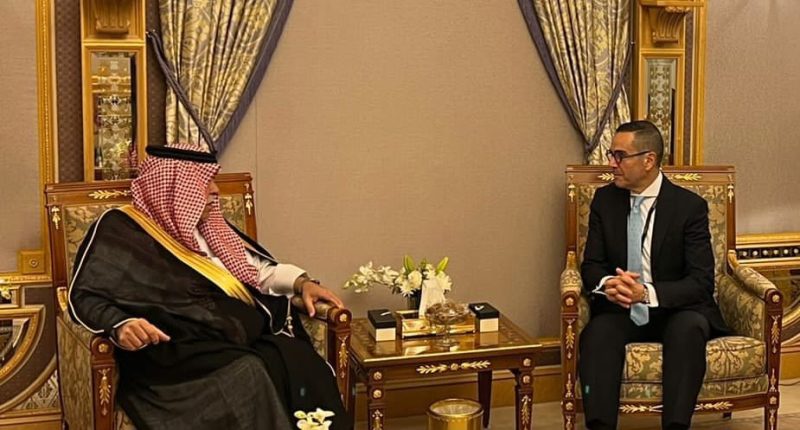 آفاق جديدة: الاستثمار والتجارة بين مصر والسعودية في قطاعات حيوية