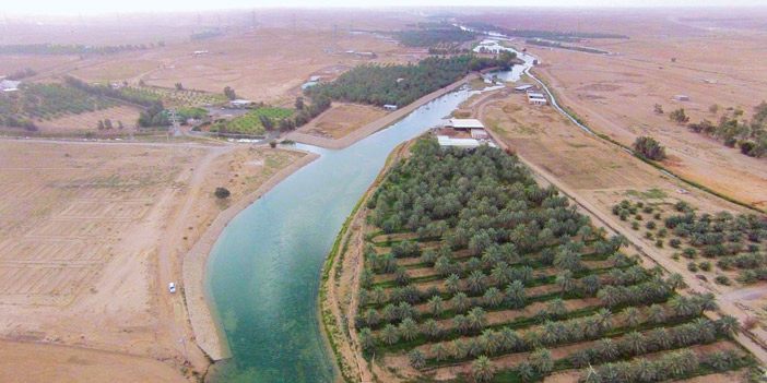 بحيرات وادي المشقر: وجهة سياحية لا تُنسى في المجمعة