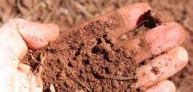 استكشف أنواع التربة المختلفة وأهميتها للبيئة والزراعة