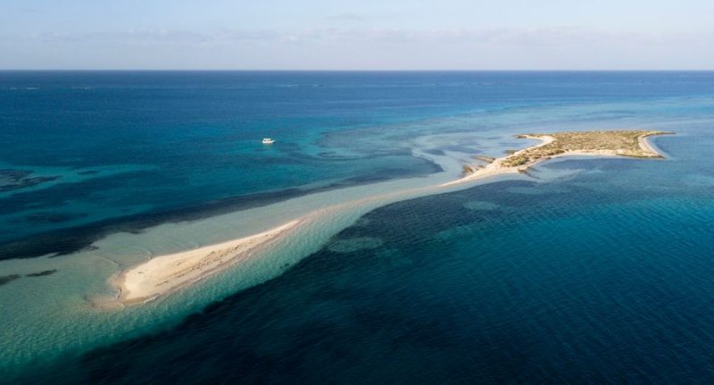 استكشف كنوز الجزر السعودية: دليل شامل