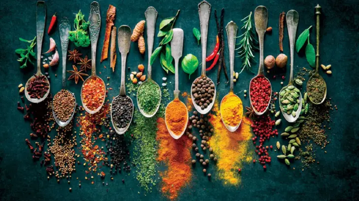 الأعشاب ودورها في تقوية المناعة: كل ما تحتاج معرفته