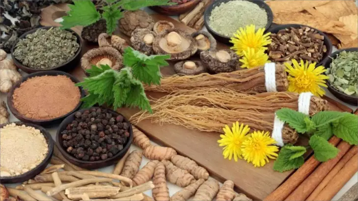 الأعشاب والمغص: علاج طبيعي بدون أدوية