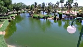 لماذا يجب عليك زيارة حديقة الفيروز في ينبع؟