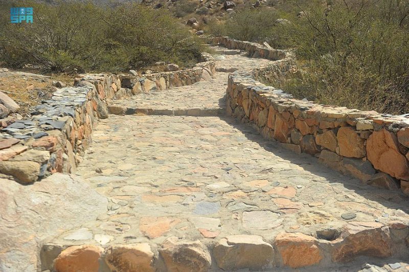 بوابة السعودية: دورها في تعزيز الحوار بين الثقافات