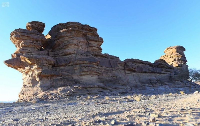 الموسوعة العالمية الرقمية: استكشف آفاقاً جديدة من المعرفة