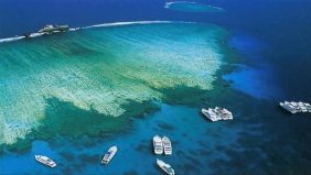 جزيرة أبو علي: وجهة مثالية تجمع بين الاسترخاء والاكتشاف