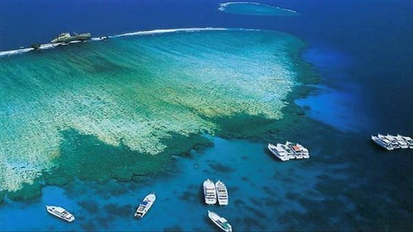 جزيرة أبو علي: وجهة مثالية تجمع بين الاسترخاء والاكتشاف