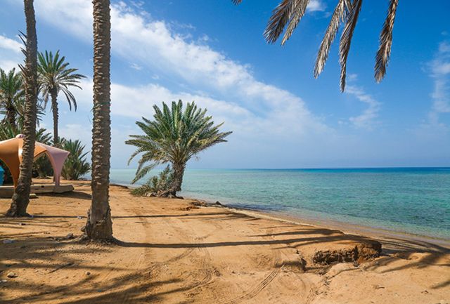 شواطئ السعودية: جمال رأس الشبعان في أملج وأفضل الأنشطة