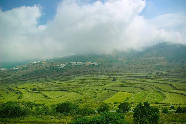 خطط لرحلتك إلى عسير: برنامج سياحي مميز