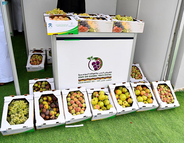 دليل شامل لـ مهرجان العنب والفواكه في عسير