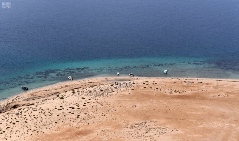 الموسوعة العالمية: دليلك الأمثل للمعرفة الرقمية