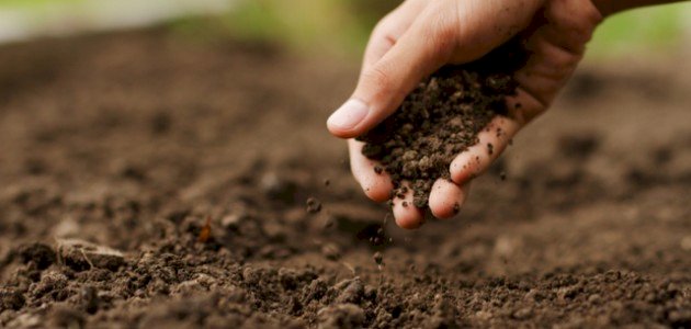 كل ما تريد معرفته عن أنواع مكونات التربة