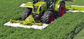 من حقول السعودية: قصة نجاح زراعة البرسيم وأثرها على الأمن الغذائي