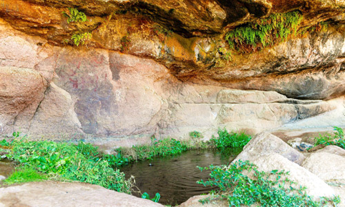 بوابة السعودية: منصة إعلامية تسعى لنشر المعرفة والثقافة