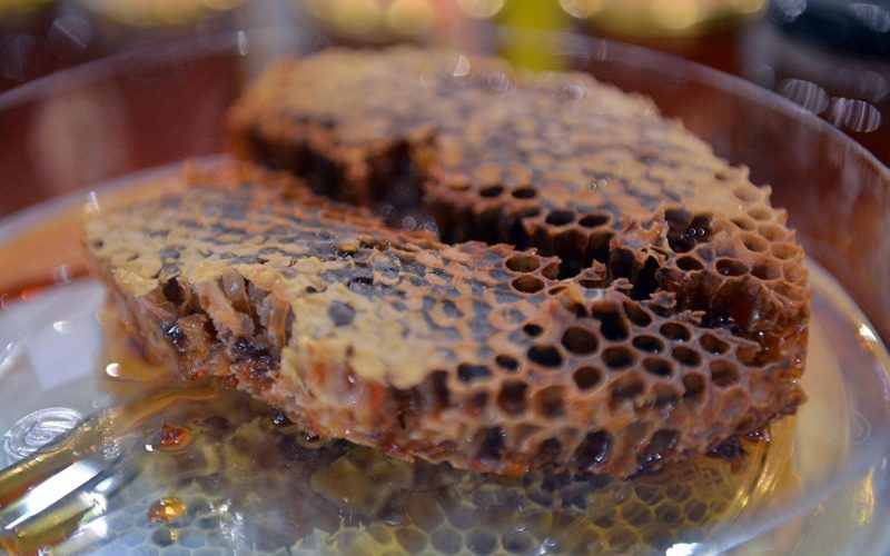 كيف تساهم مناحل السعودية في الحفاظ على التنوع البيولوجي؟