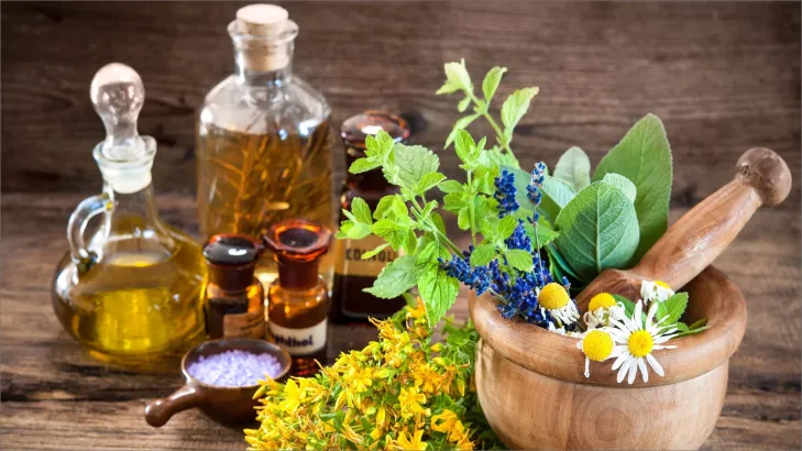 النباتات الطبية: دليلك الشامل لتحسين الصحة بشكل طبيعي