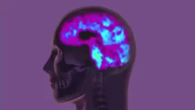 واجهات الدماغ الحاسوبية: كيف تساعد الشبكات العصبية في تحسين حياة ذوي الإعاقة؟