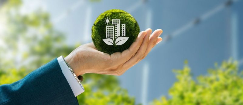 'بيئتنا كنز': كيف تدعم الفعالية الوعي البيئي في رؤية 2030؟