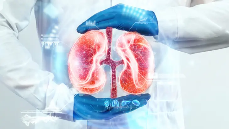 علاج أمراض الكلى عند الرجال: أحدث الطرق
