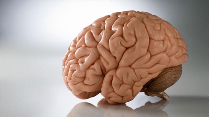 الحبسة الكلامية: من التشخيص إلى التعافي – رحلة الأمل